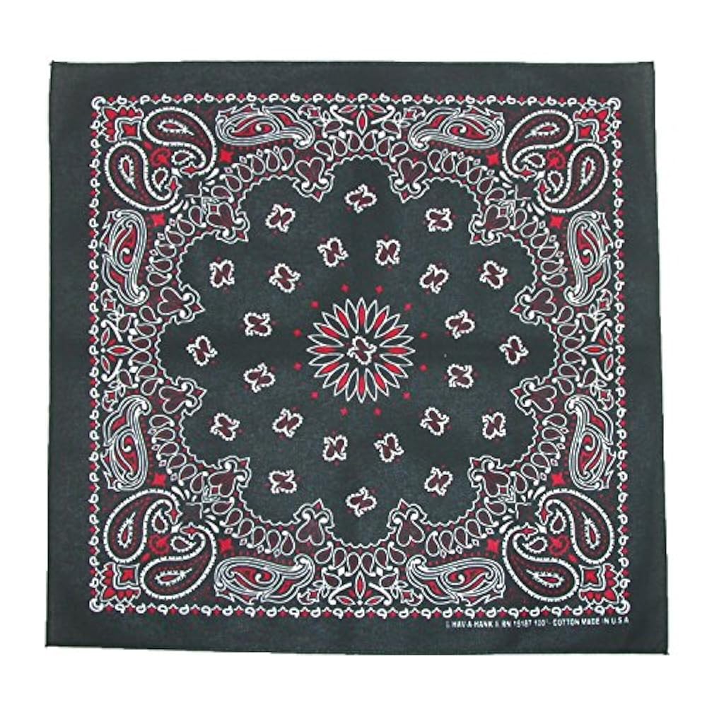 MULTI COLOR BANDANA PAISLEY SHIRT ⑤ 61Ni+vYquML._UY1000_.jpg